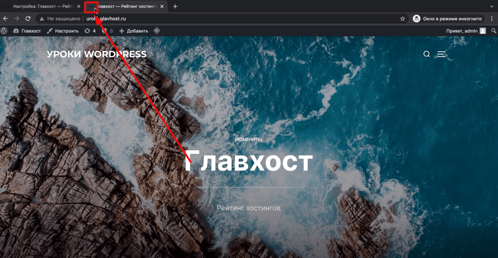 Где найти фавикон сайта.